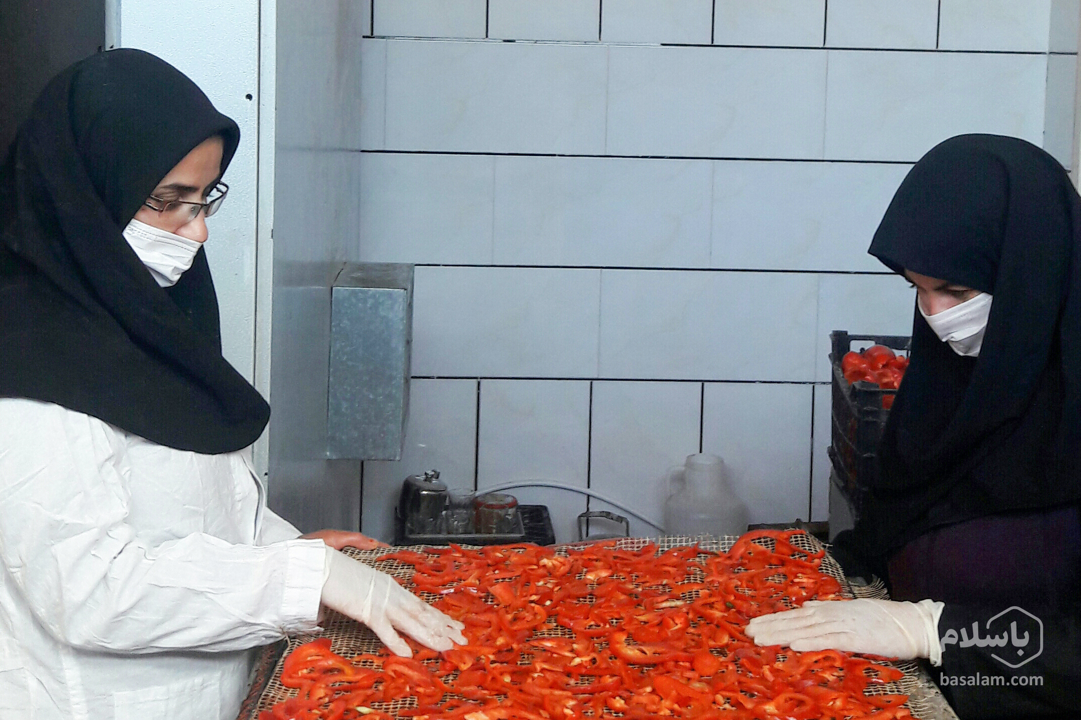 تولید پودر گوجه-بانویی که با گوجه خشک پولدار شد-مجله باسلام