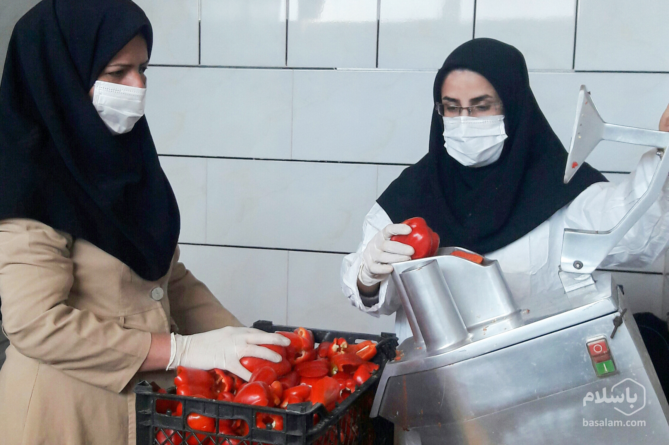 دستگاه خشک کن -پودر گوجه-مجله باسلام