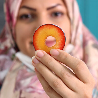 چیپس میوه گرین فروت-چیپس میوه جایگزین پفک-مجله باسلام