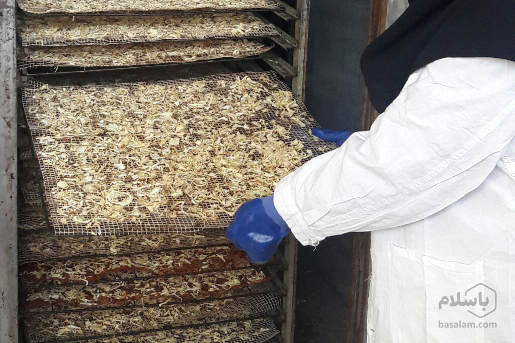 تولید پودر پیاز خشک-محصولات خشک-مجله باسلام