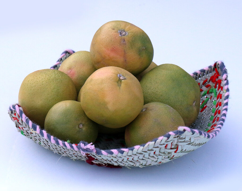 حصیربافی-سیستان و بلوچستان-مجله باسلام