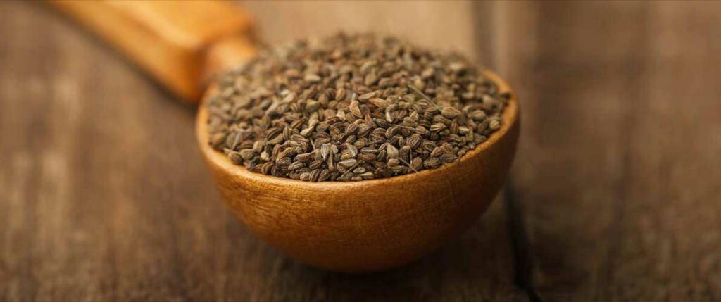 زنیان-داروی بلغم زدا-مجله باسلام