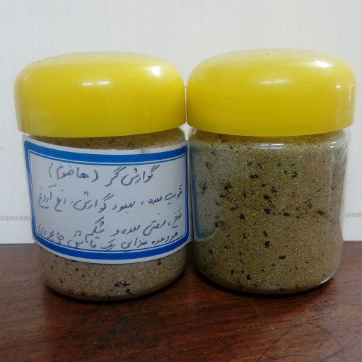 هاضوم برای درمان بیماری های گوارشی-خواص هاضوم-مجله باسلام