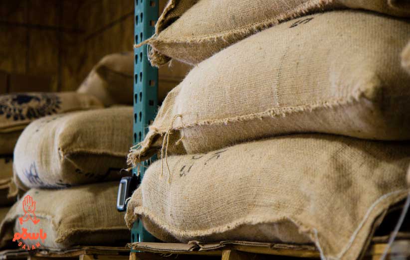 راهنمای خرید برنج