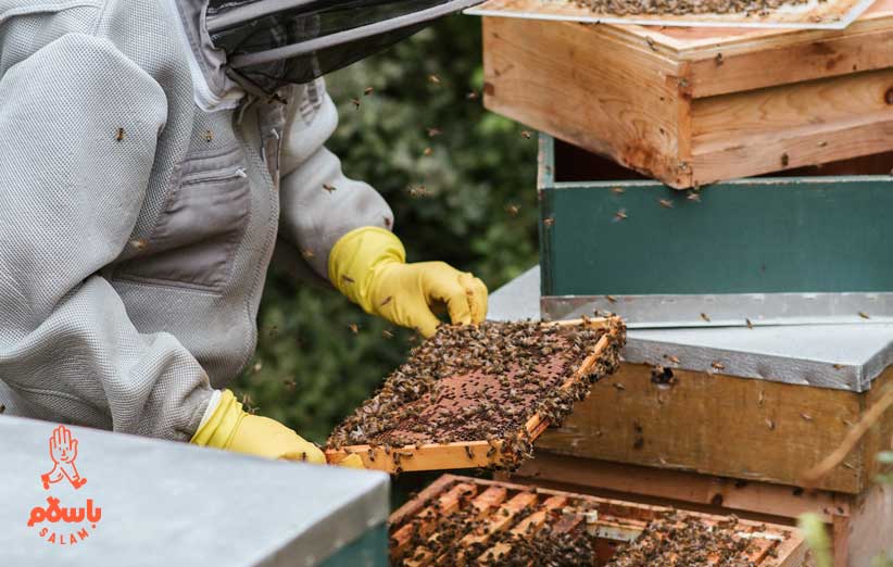 عسل مخلوط چیست