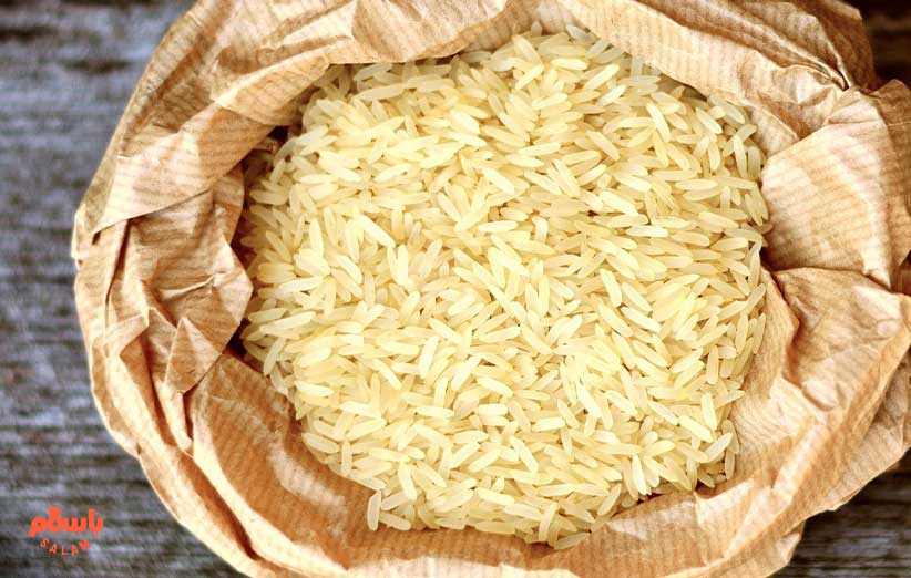 ویژگی های برنج چمپا