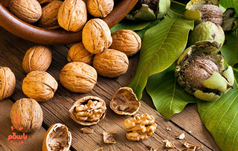 گردو تویسرکان