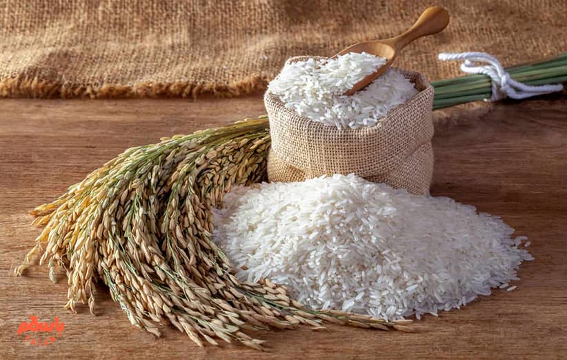 انواع نحوه نگهداری برنج خام و معرفی بهترین ظروف