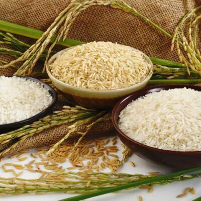 برنج گیلان بهتره یا برنج مازندران