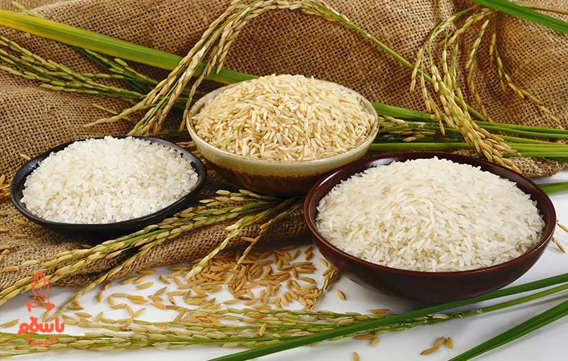برنج گیلان بهتره یا برنج مازندران