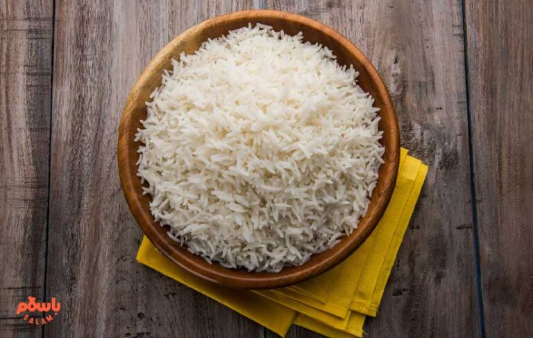آیا برنج شیرودی تراریخته است؟