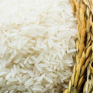 برنج علی کاظمی چیست
