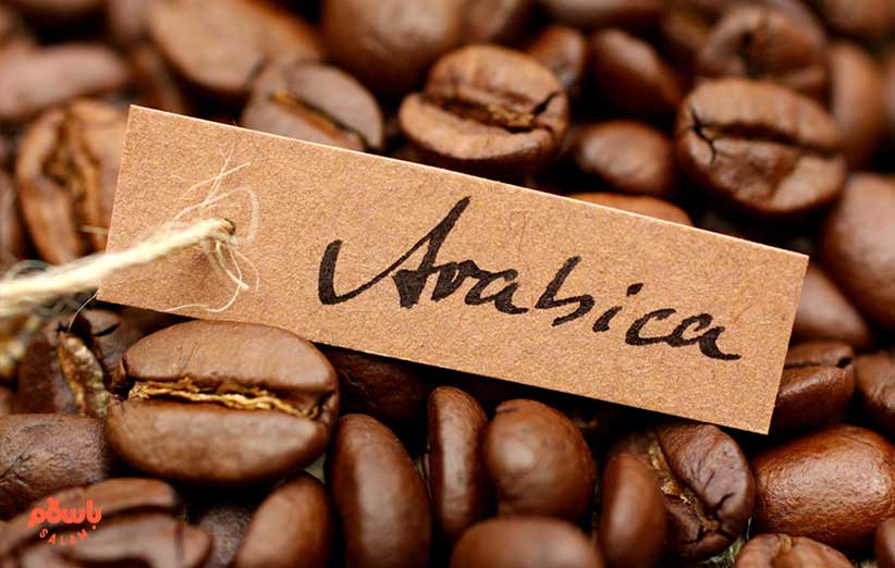 قهوه عربیکا