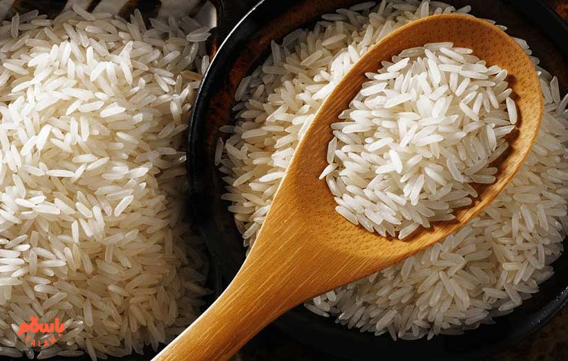 مشخصات برنج فجر