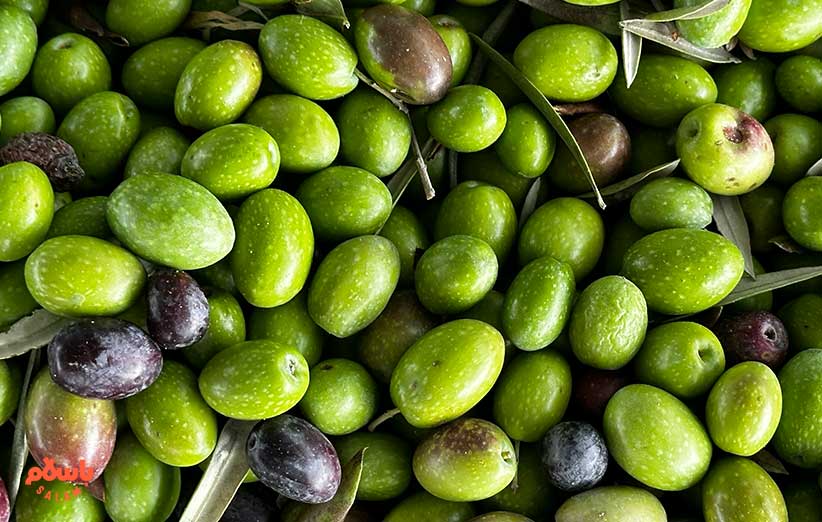 خواص زیتون برای سرطان