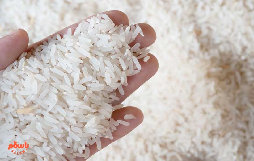 تشخیص برنج هندی تقلبی