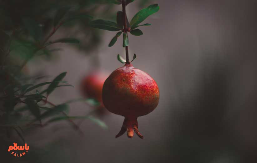 خواص انار برای سرماخوردگی