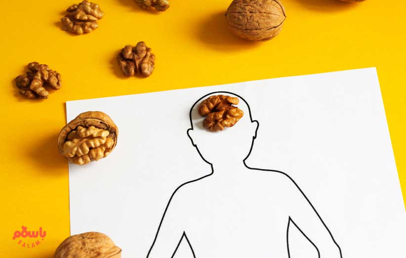 خواص و فواید گردو برای مغز و حافظه‌ 
