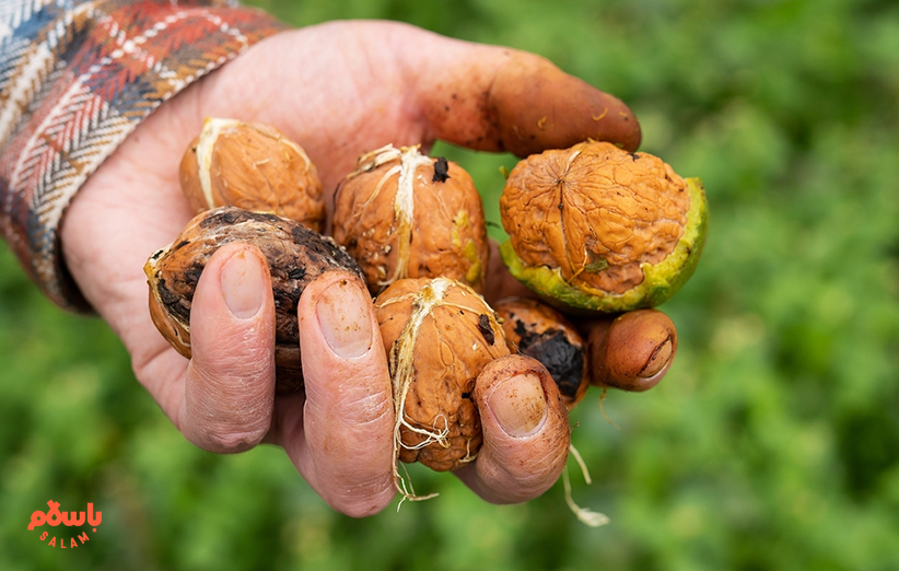 اختلال در عملکرد دستگاه گوارش