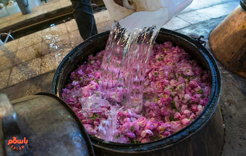 خواص و فواید گلاب دو آتیشه