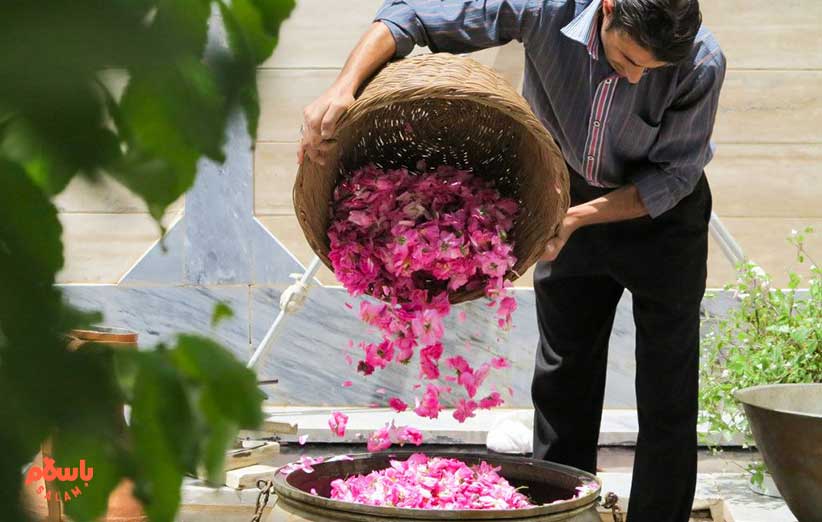 خواص گلاب دو آتیشه برای جوش