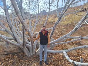 یک روز با پرفروش‌ترین انجیرفروش فضای مجازی استهبان