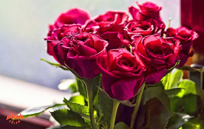 شاخه گل یا دسته گل