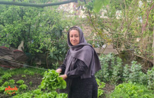 یک پیام تبلیغاتی، زندگی‌مان را زیر و رو کرد