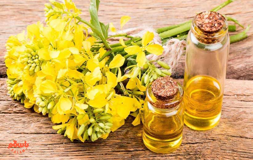 روغن خرگوشک چیست؟