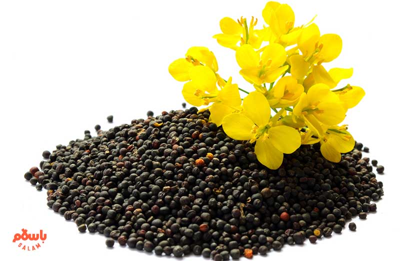 استفاده مستقیم روی پوست