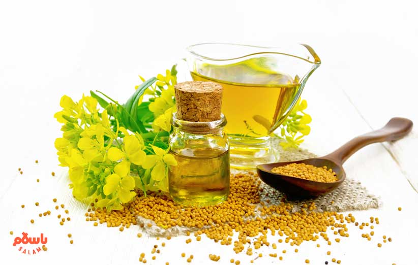 خرید و قیمت انواع روغن خردل از باسلام