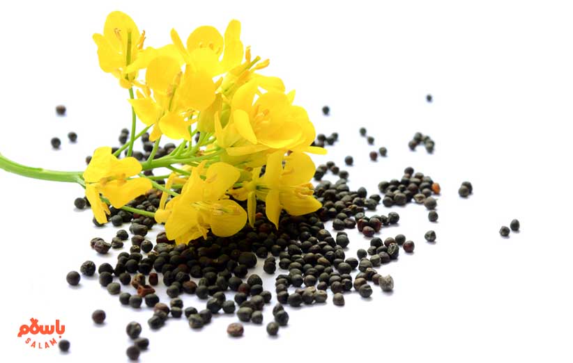کاهش خطر ابتلا به بیماری های قلبی و عروقی
