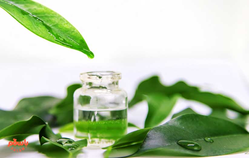 روغن درخت چای چیست؟