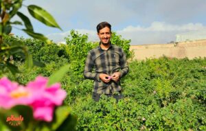 پرسه در اردیبهشت با جیب خالی