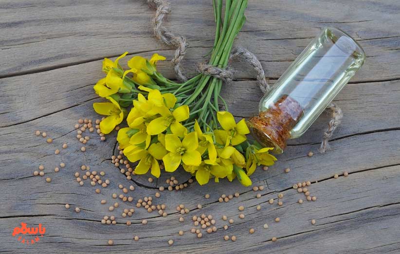 روغن خردل چیست؟
