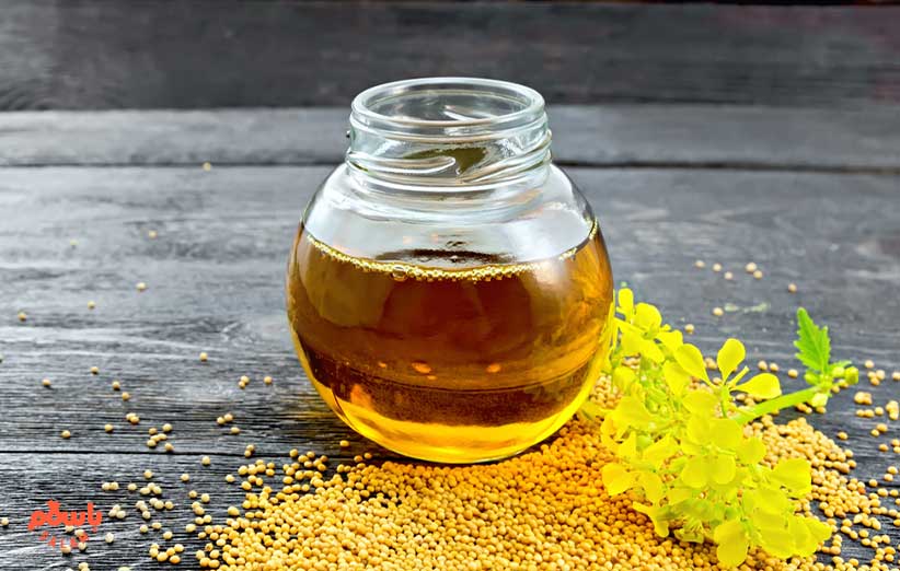 خواص آنتی باکتریال و ضد میکروبی