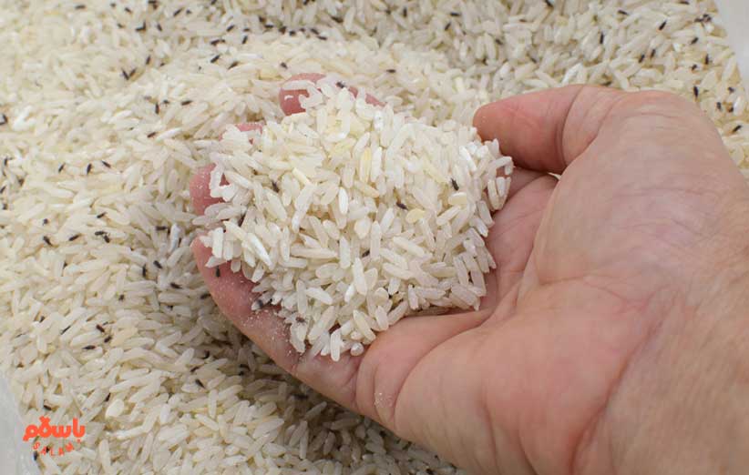 قرار دادن کبریت در برنج