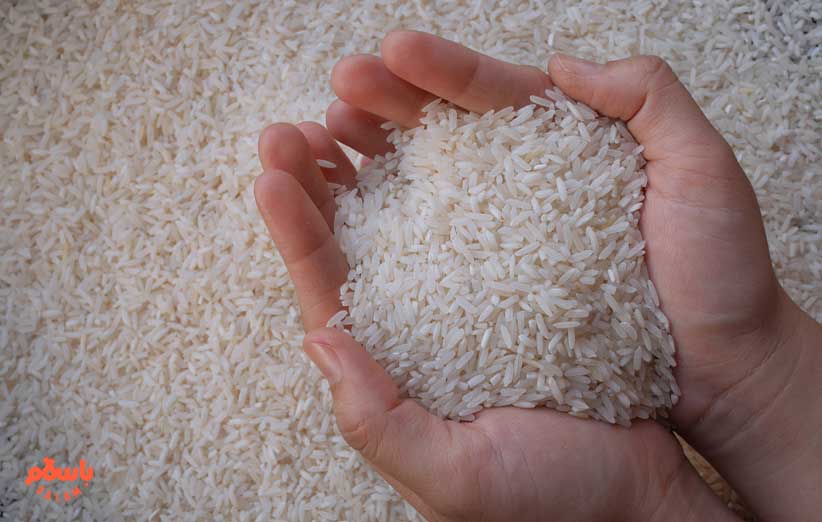 خرید و قیمت برنج از باسلام