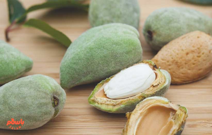 فواید، مضرات،روش تشخیص و استفاده از روغن بادام تلخ