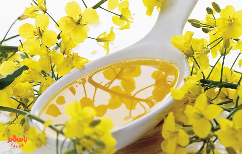 روش نگهداری از روغن خرگوشک