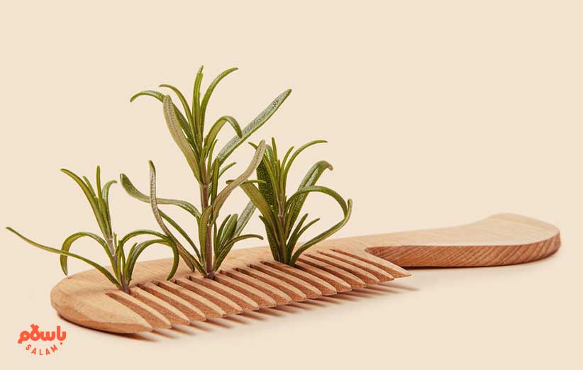 چگونه روغن رزماری اصل را تشخیص دهیم؟
