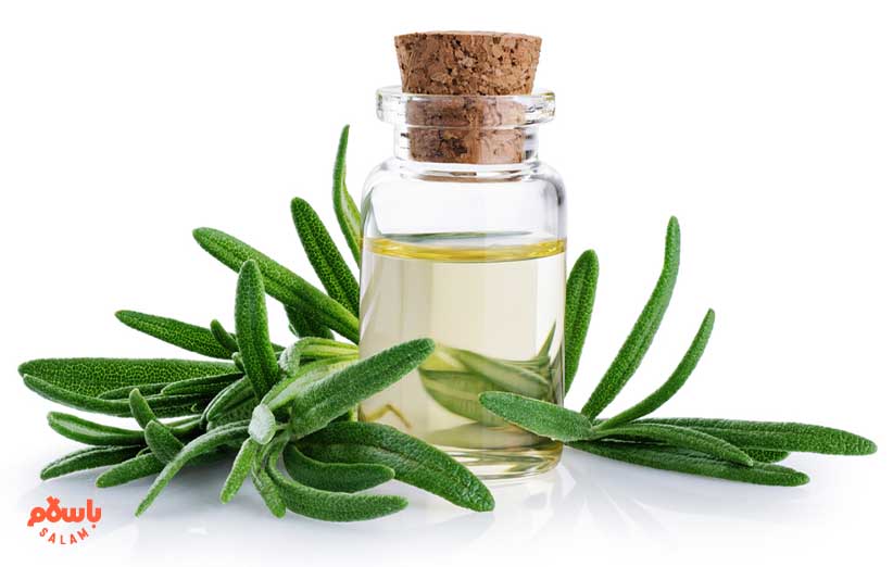 خواص روغن رزماری برای تسکین درد مفاصل و عضلات