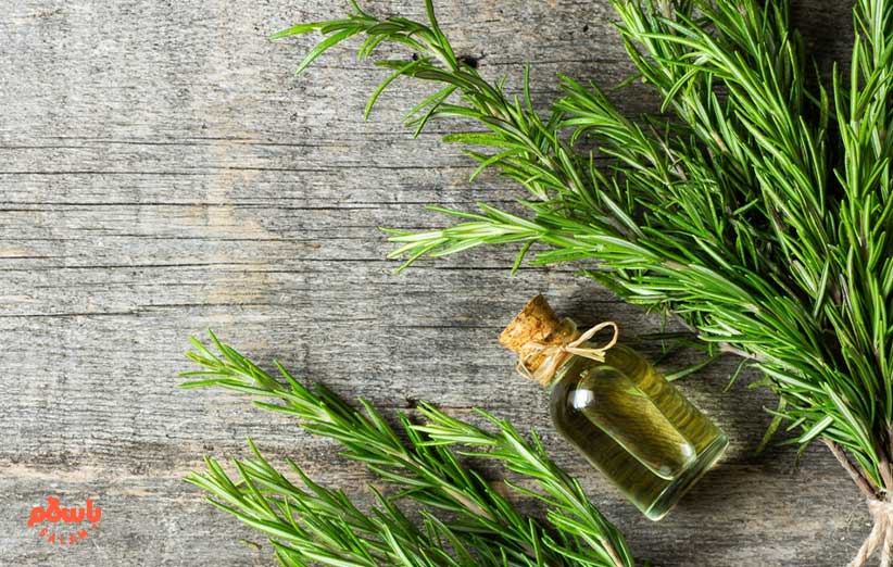 خواص روغن رزماری برای مژه و ابرو