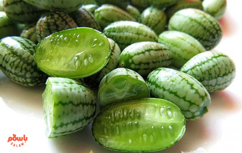 طرز تهیه‌ روغن حنظل