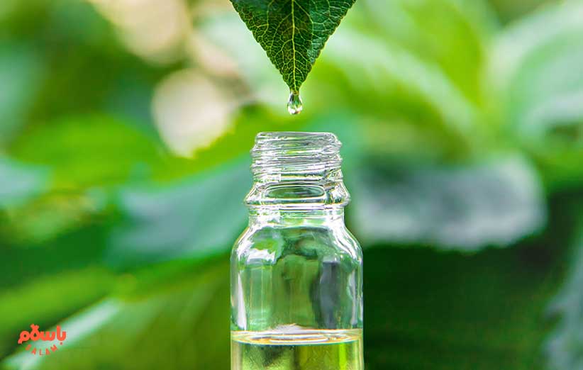 درمان شپش سر