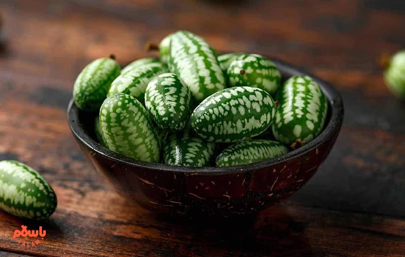 روغن حنظل چیست؟