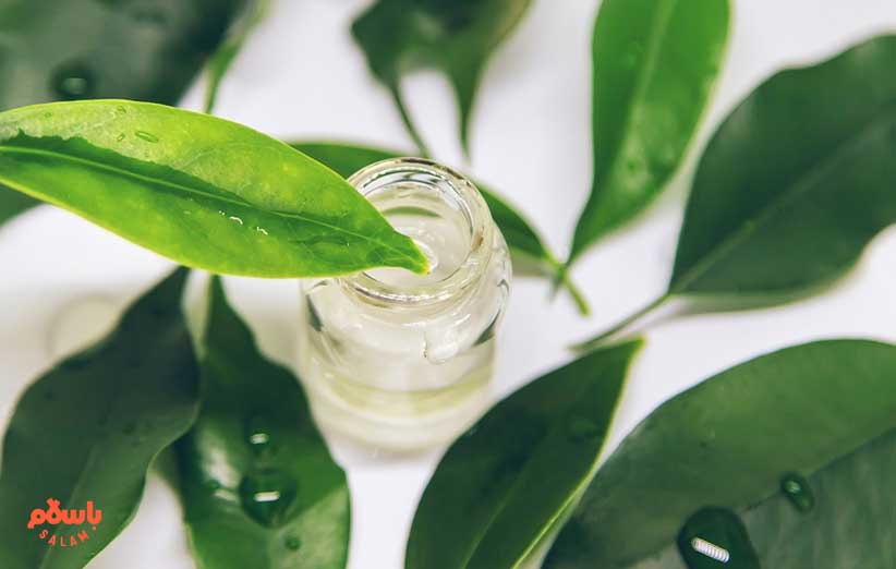 نکات مصرف و موارد احتیاطی در استفاده از روغن درخت چای