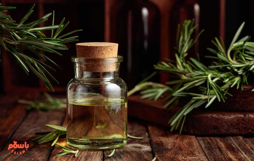 عرضه و قیمت روغن رزماری در باسلام