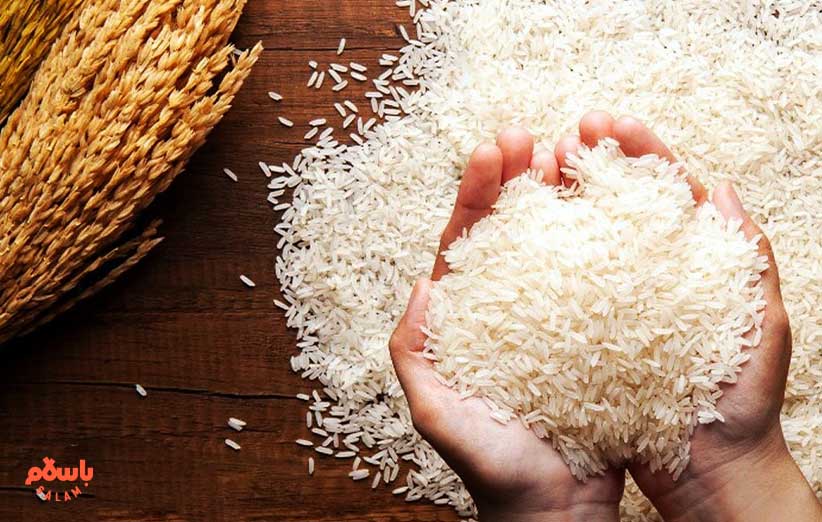 استفاده از سیر