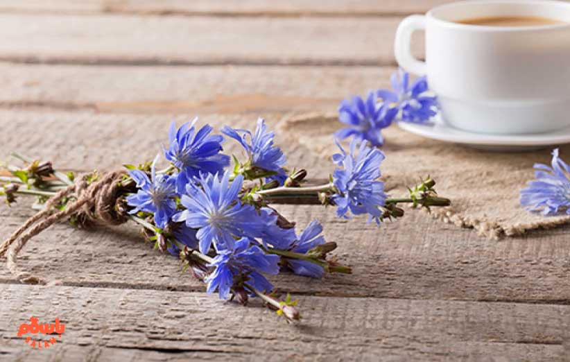 عرق کاسنی برای معده